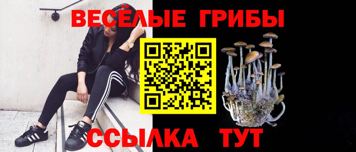 Клин  Галлюциногенные грибы мицелий  Вход с VPN 