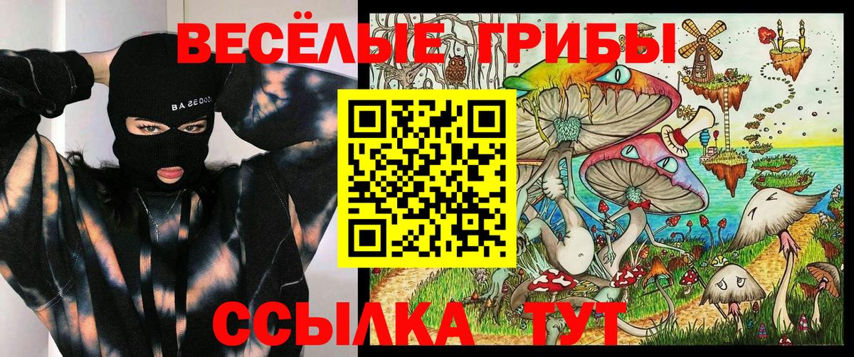 Галлюциногенные грибы Magic Shrooms Клин